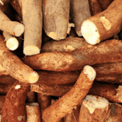 Marshmallow Root